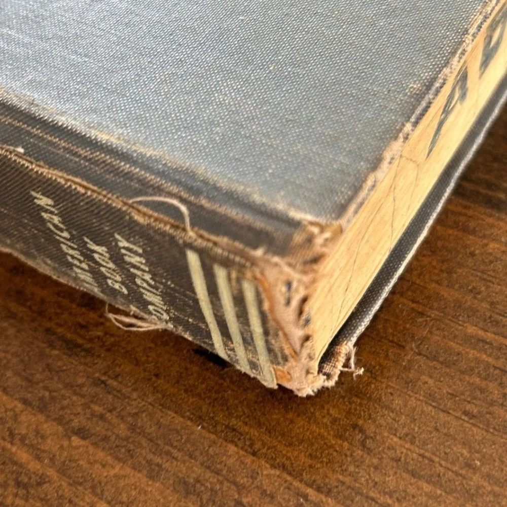 Vintage Merriam Webster Elementary Dictionary Boys & Girls 1959 Blue Illustrated